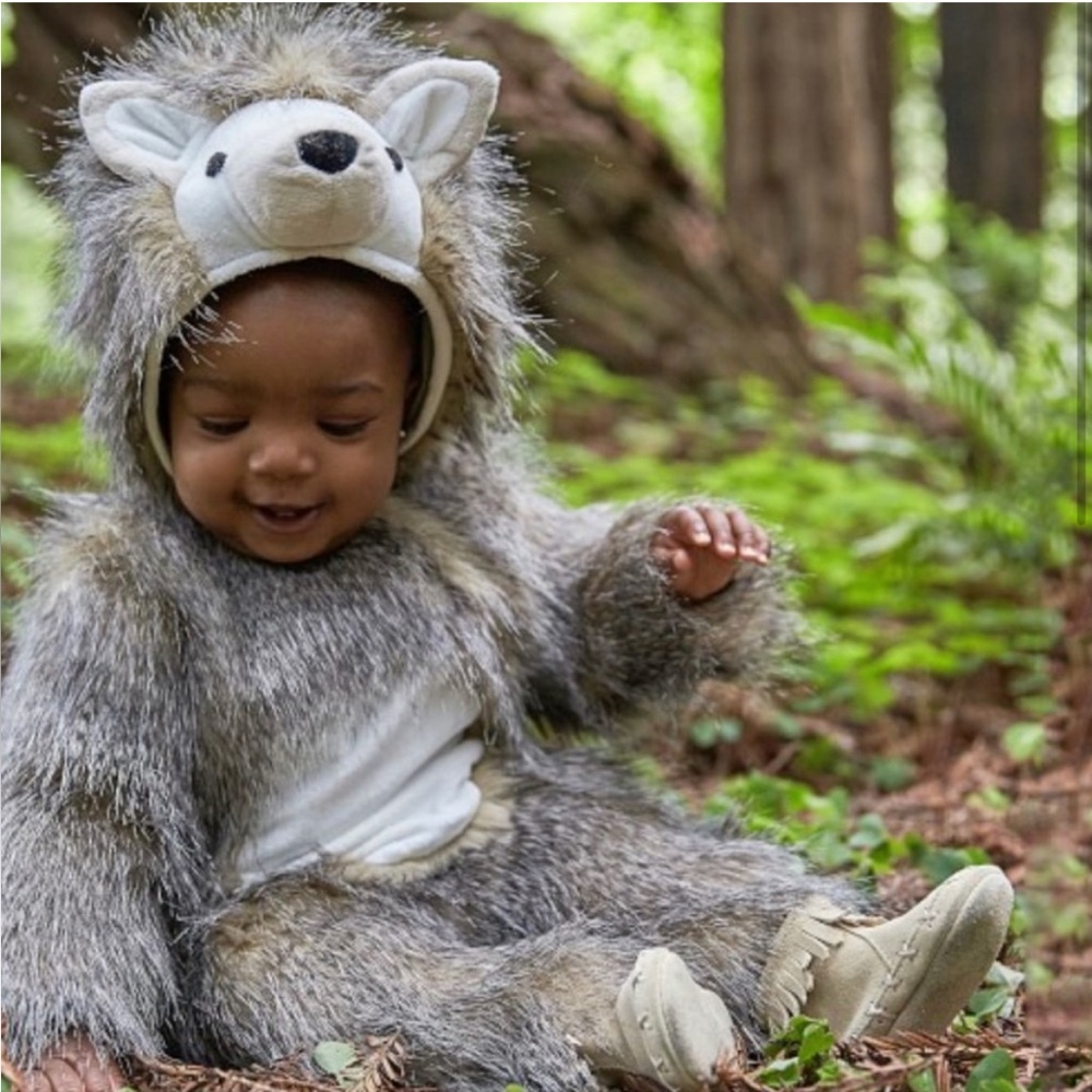 Pottery Barn Kids Rare Hedgehog Costume - LIKE NEW